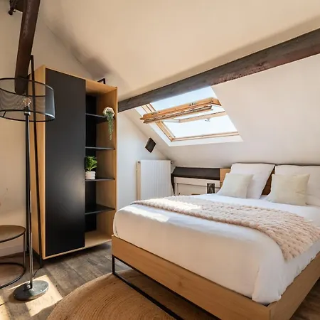 Le Cloitre Saint-patrice - Duplex Historique Avec Parking Prive Lejlighed Rouen