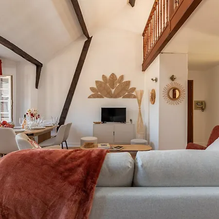 Le Cloitre Saint-patrice - Duplex Historique Avec Parking Prive * Rouen